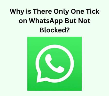 one tick on whatsapp but not blocked